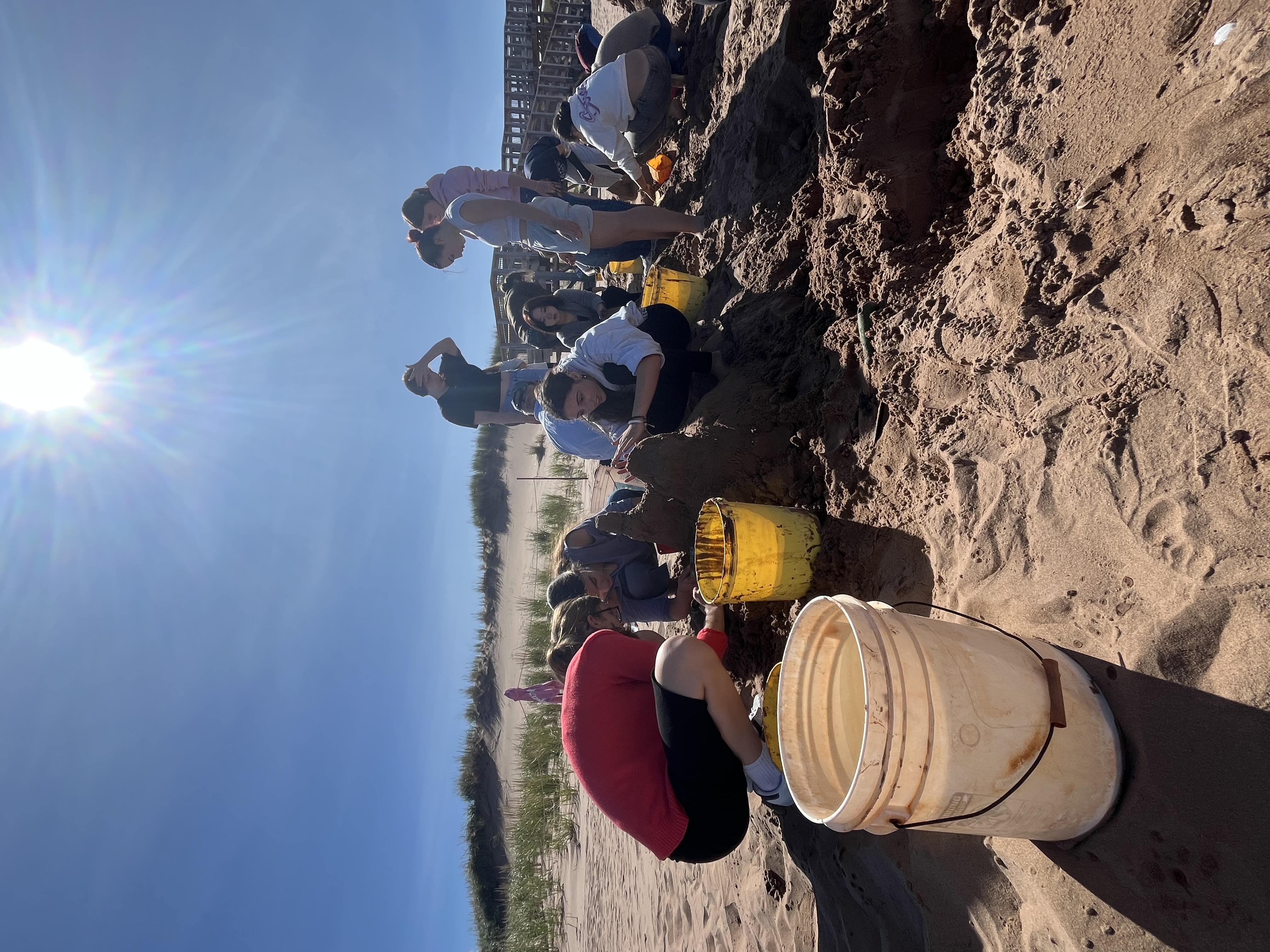 Building a sandcastle on the beach