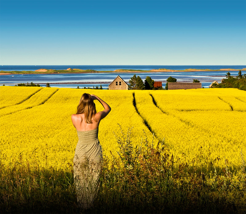 person in a field taking a photo