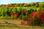 PEI fall image